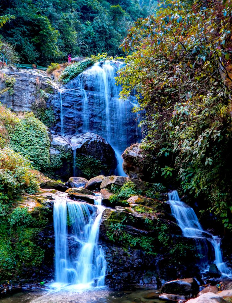 Darjeeling Rock Garden
