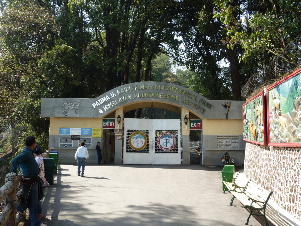 Padmaja Naidu Himalayan Zoological Park