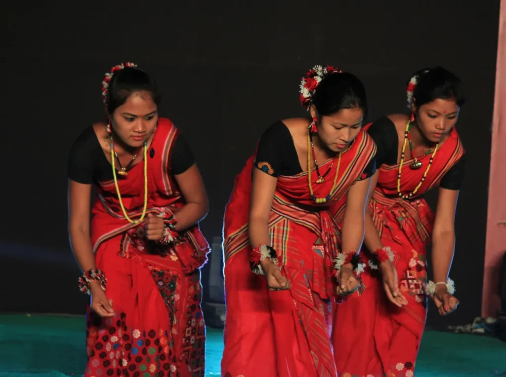 Mishing Tribe traditional dress in Assam