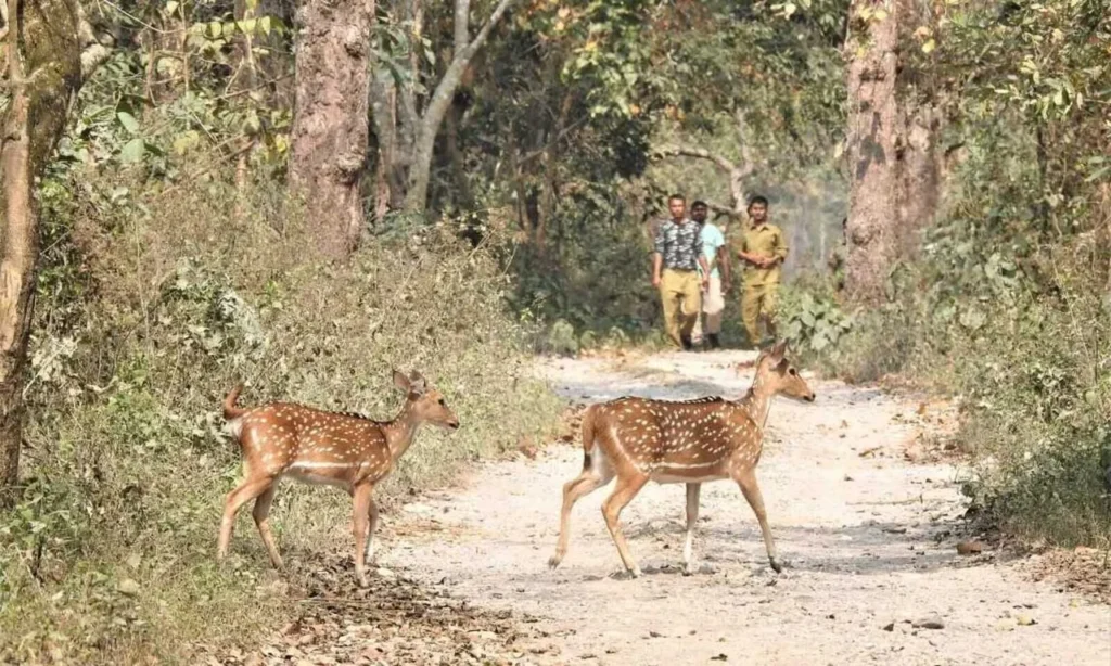 Raimona National Park