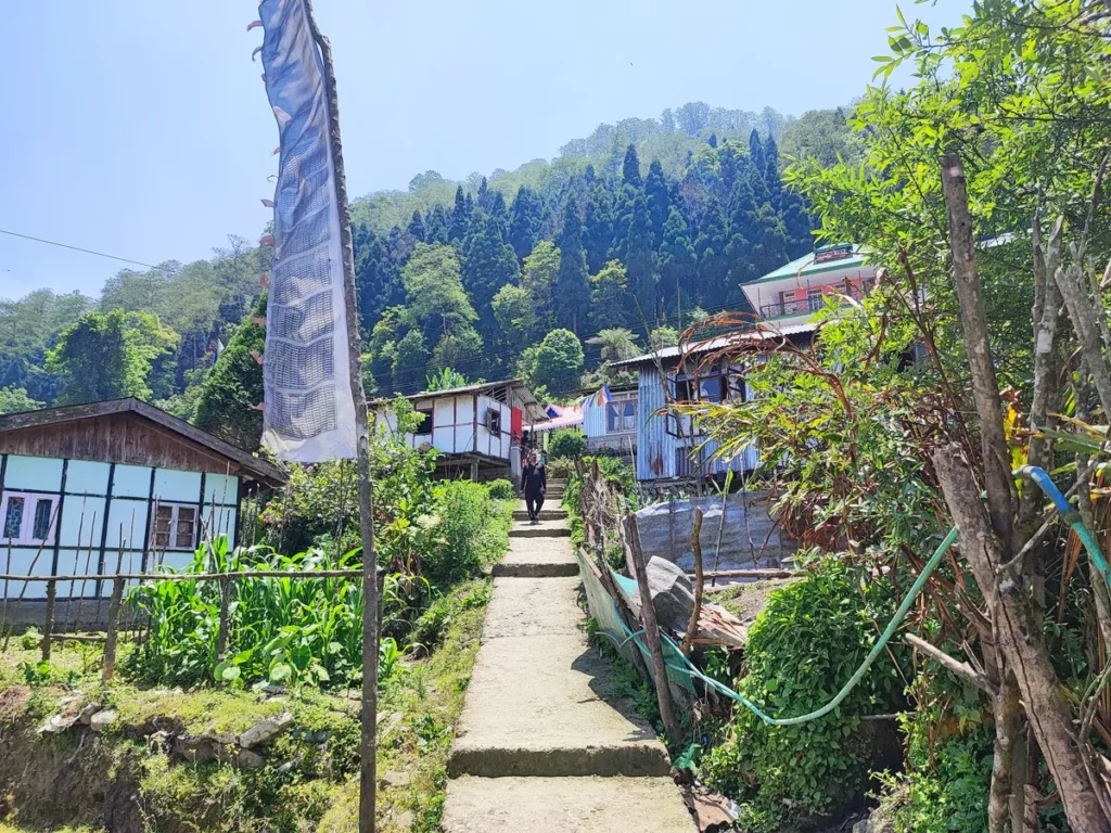 Homestays in Sillery Gaon