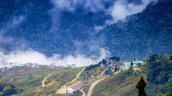 Sillery Gaon