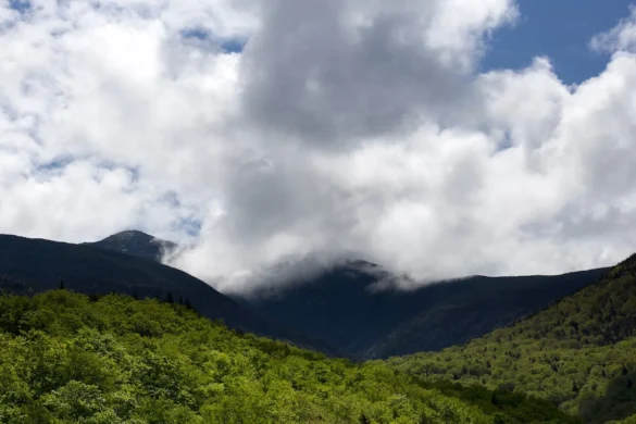 Anamudi Peak Munnar