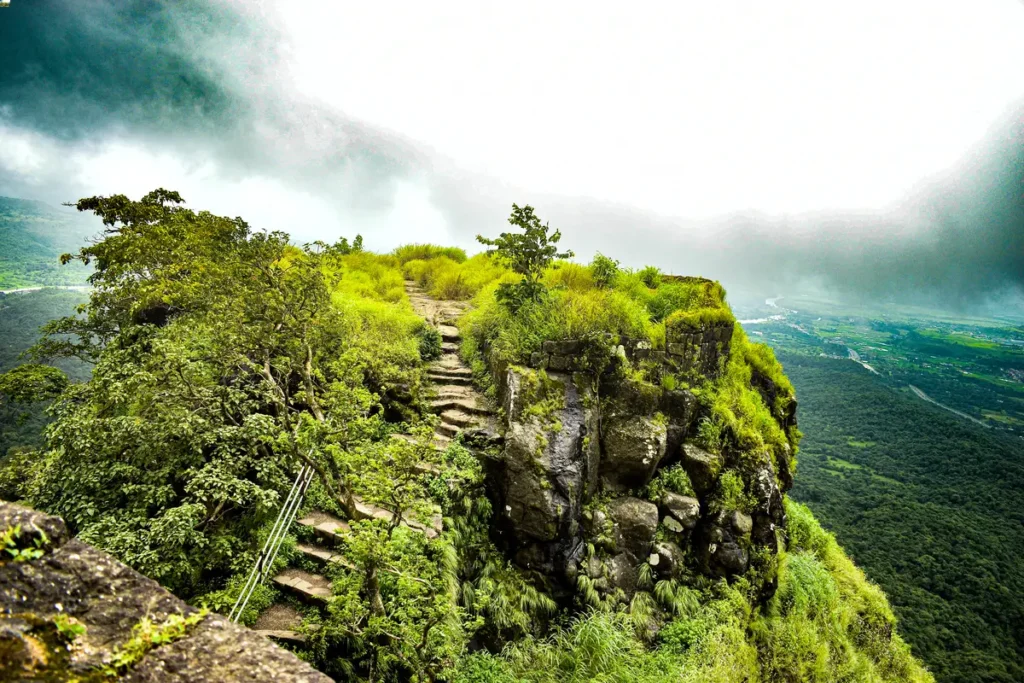 Karnala Bird Sanctuary Overview