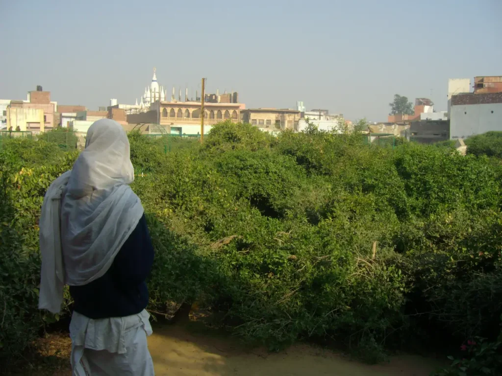 Nidhivan Vrindavan Overview