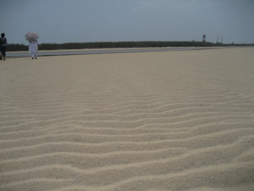 Overview of Antarvedi Beach