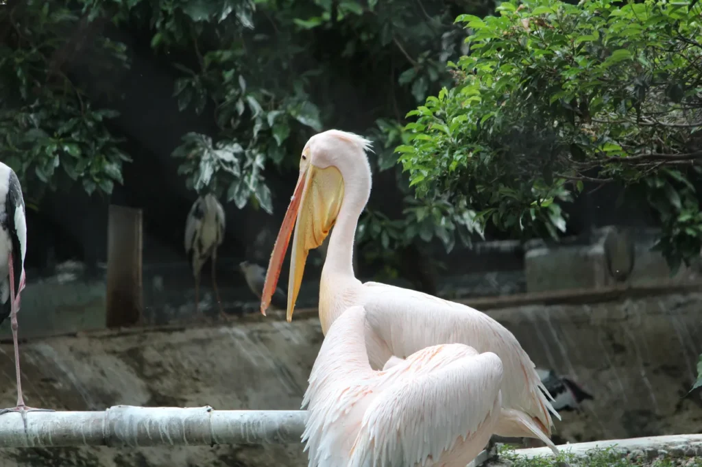 Overview of Guindy National Park Chennai