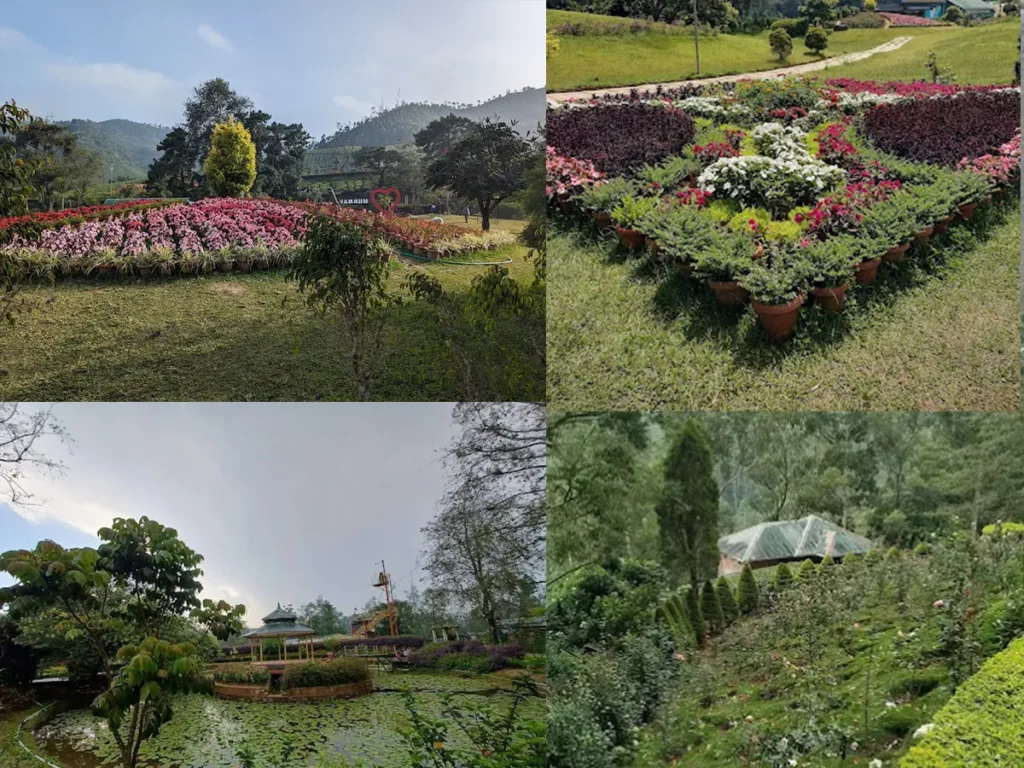 Best time to visit Blossom Park Munnar