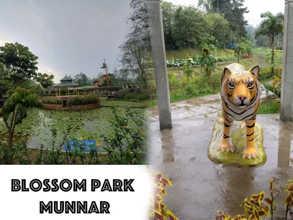 Blossom Park Munnar
