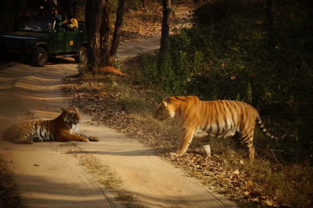 Kanha National Park