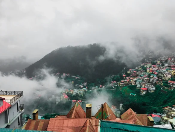 Things to buy in Shimla