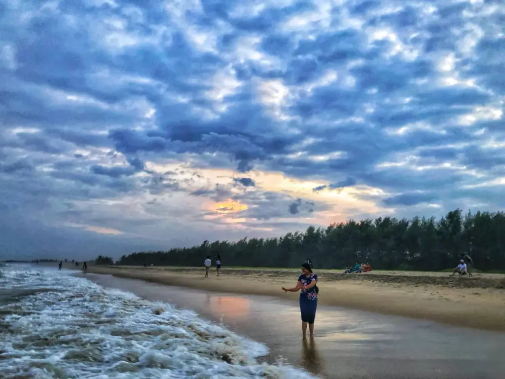 Overview of Auroville Beach Pondicherry