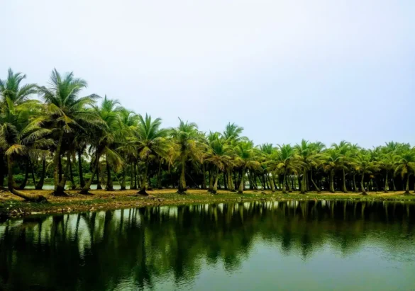 Paradise Beach Pondicherry