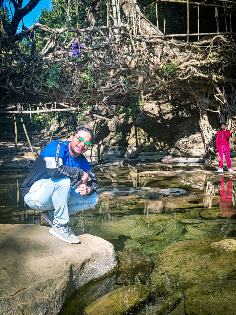 Riwai Single Living Root Bridge